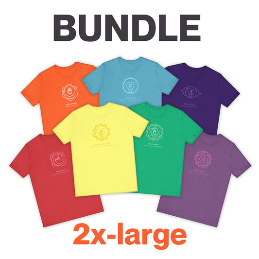 All 7 Chakras Tees BUNDLE - Sized 2X-Large