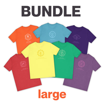 All 7 Chakras Tees BUNDLE - Sized Large