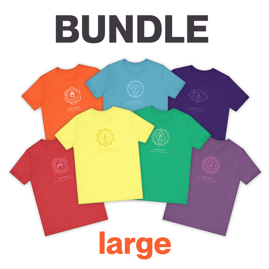 All 7 Chakras Tees BUNDLE - Sized Large