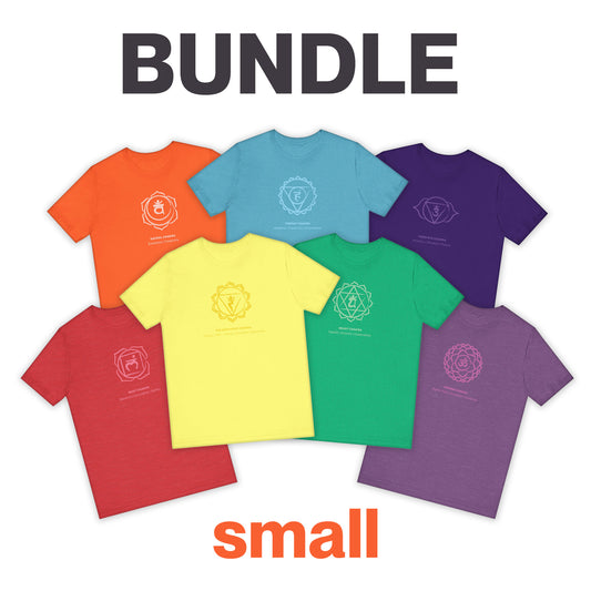 All 7 Chakras Tees BUNDLE - Sized Small